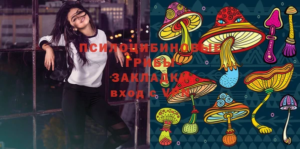 прущие грибы Нея