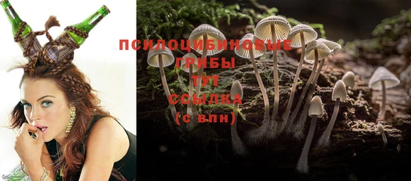 Альфа ПВП Алексеевка