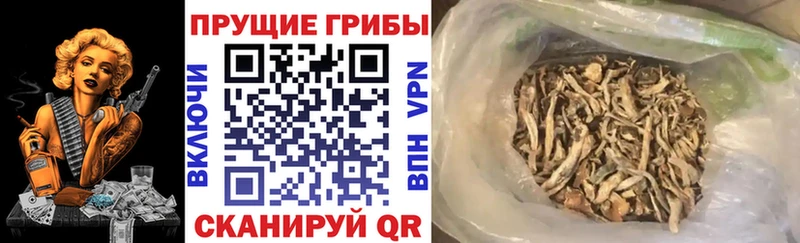 Псилоцибиновые грибы GOLDEN TEACHER  Учалы 